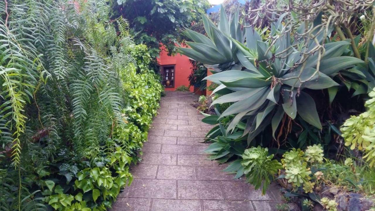 Casa Ida ξενώνας Garachico  Εξωτερικό φωτογραφία