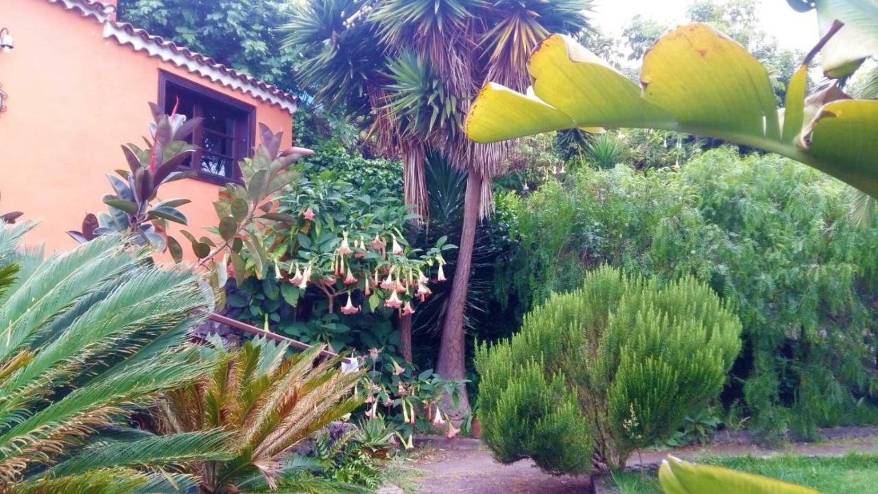 Casa Ida ξενώνας Garachico  Εξωτερικό φωτογραφία